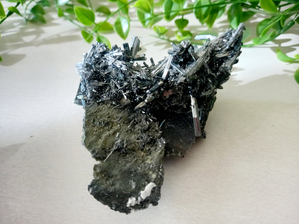 Stibnite Antimony Specimen