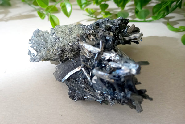 Stibnite Antimony Specimen