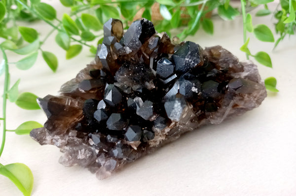 Smoky Quartz Clusters