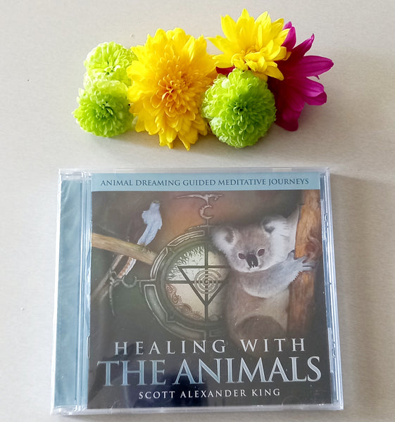 Meditation CD's