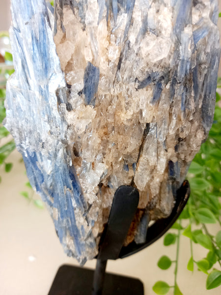 Blue Kyanite On Stand