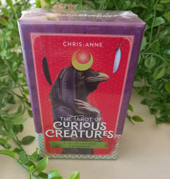 Oracle & Tarot Decks