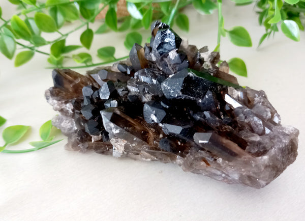 Smoky Quartz Clusters