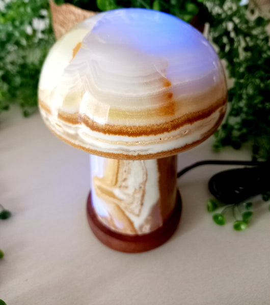 Onyx Mushroom Lamps