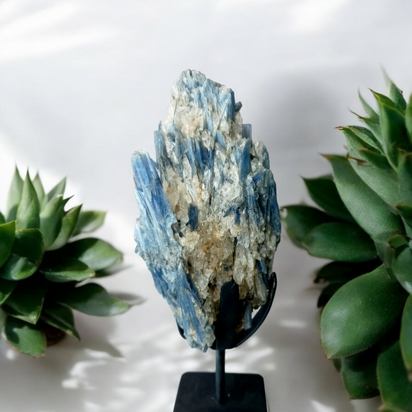 Blue Kyanite On Stand