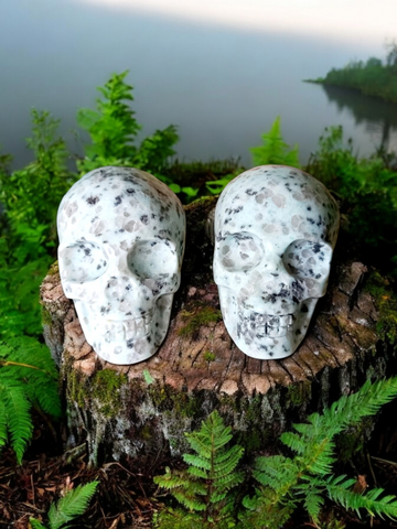 Jasper Skulls