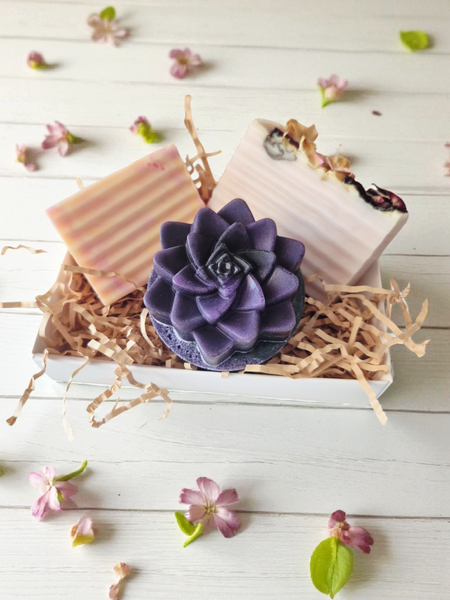 Soap Lovers Gift Pack