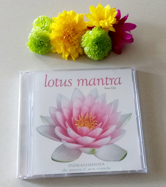Meditation CD's
