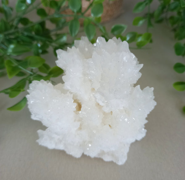 Aragonite Cluster